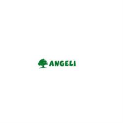Piante Angeli di Angeli Federico