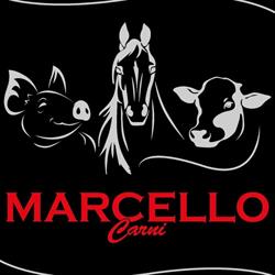 Marcello Carni