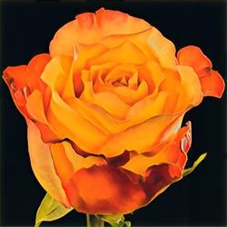 FLOR Style