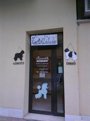 Toelettatura Oscar & Co.