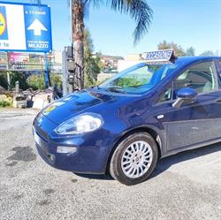Pollino automobili