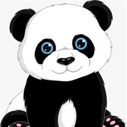 Il Panda scuola dell'infanzia paritaria