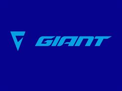 Isibike Giant Store Vicenza