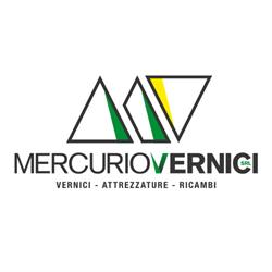 Mercurio Vernici Srl