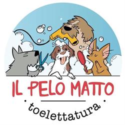 Il Pelo Matto Toelettatura