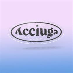 Acciuga Studio