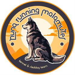 Nuna Malamutes - Allevamento Alaskan Malamute