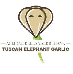 Aglione della Valdichiana - Agricola Laschi & Marchi S. S. - Tuscan Elephant Garlic