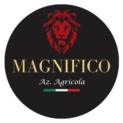 Azienda Agricola Magnifico
