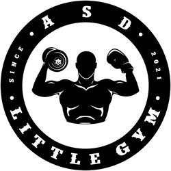 Asd Little Gym
