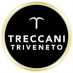 Agenzia Generale Treccani Triveneto