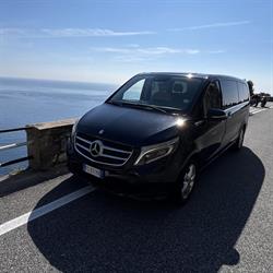 Nico Travelling