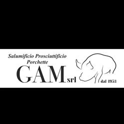 Gam Srl