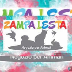 Zampa Lesta