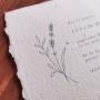 Stampa su carta seminabile