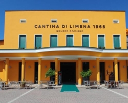 Cantina di Limena 1965
