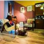 Gallery Professionale