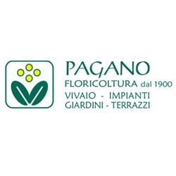 Floricoltura Pagano