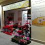 Gallery Professionale