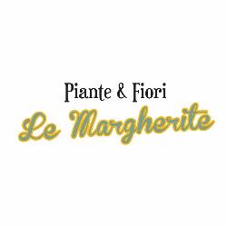 Le Margherite - Piante e Fiori