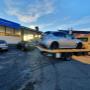 Gallery Professionale
