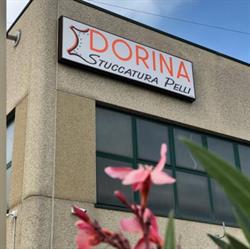 Stuccatura Pelli Dorina Srl