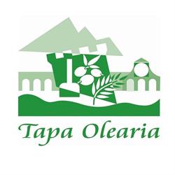 Tapa Olearia Sca