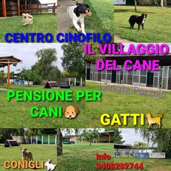 IL VILLAGGIO DEL CANE