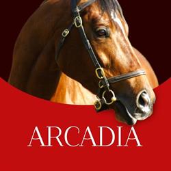 Centro Equino Arcadia