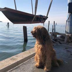 L’Onda di Venezia Srl