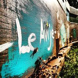 LE AVIJE APICOLTURA
