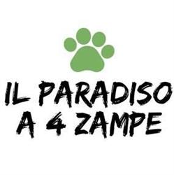 Il paradiso a 4 zampe
