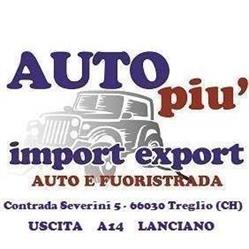 Autopiu' Srls