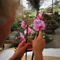 Floricoltura Stell