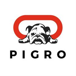 Pigro Store