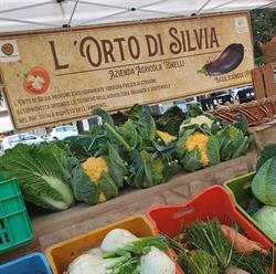 L'orto di Silvia