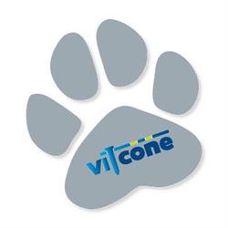 Vitcone