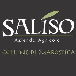Saliso Olio Extra Vergine di Oliva