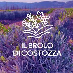 Il Brolo di Costozza