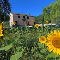 B&B in vino veritas