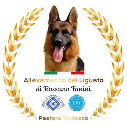 Allevamento del Ligusto