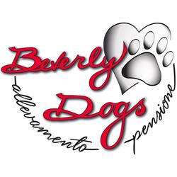 Beverly Dogs