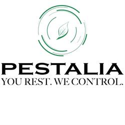 Pestalia