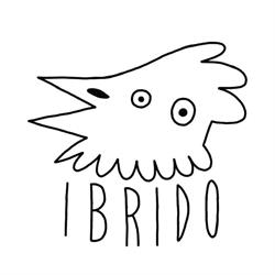 IBRIDO Studio S.r.l.