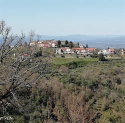 Il Ghiro Moncioni