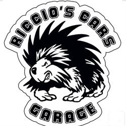 Carrozzeria Riccio's Cars Garage