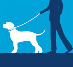 Melanie - Dog Trainer Milano