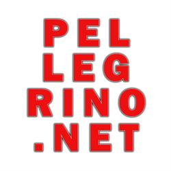 Pellegrino.Net - Digital Marketing