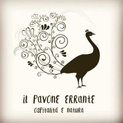 Il pavone errante