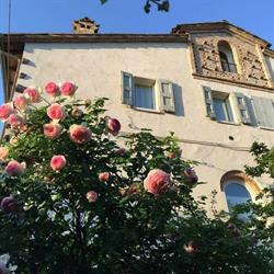 Alla Locanda del Cinquecento